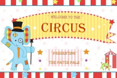 Welcome to circus page